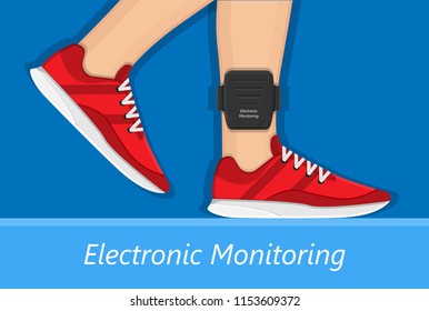 Electronic Monitoring EM Tagging System Tag Territory Offences  Perpetrator