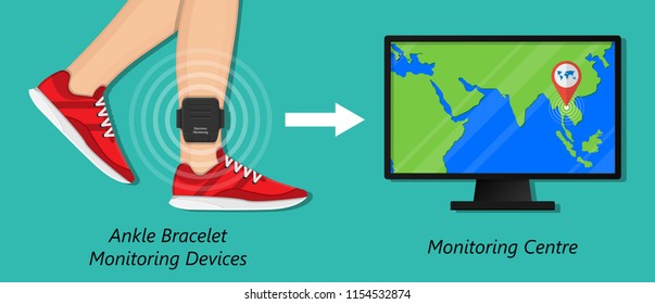 electronic monitoring EM tagging system tag territory offences  perpetrator