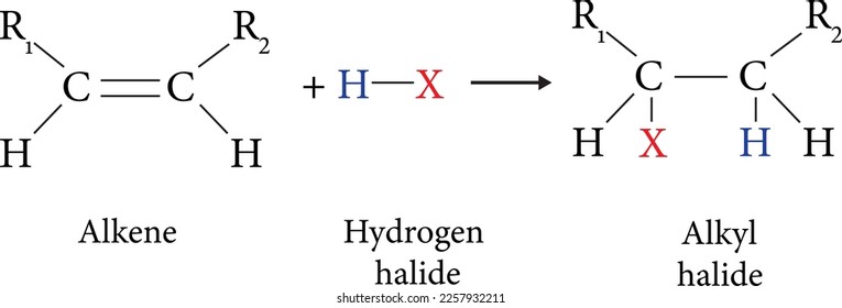 Electrophilic Addition reaction vector image
