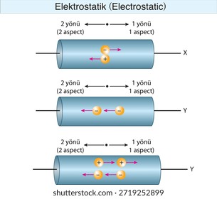 electrostatics, electricity, electric field, electrical force