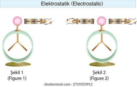 electrostatics, electricity, electric field, electrical force