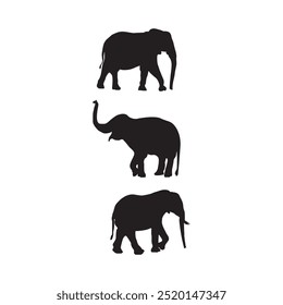 Elefant  animal silhouette white background