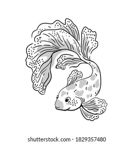 Elegantes und schönes Fisch-Print-Design für T-Shirt. Vektorgrafik einzeln auf weißem Hintergrund. 