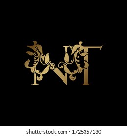 Elegance Luxury deco  letter N and T, NT golden logo vector, alphabet font initial in art decorative style.