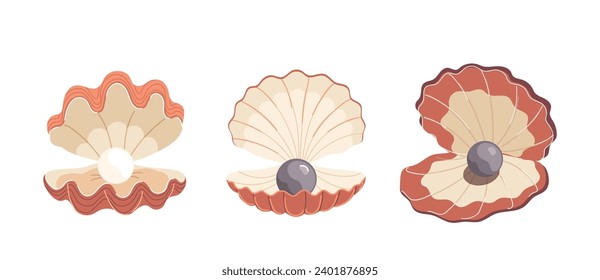 Elegance open pecten sea shell with shiny pearl balls inside isolated set on white background