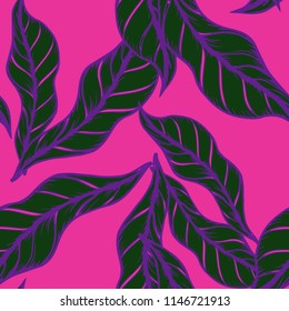 Elegance pattern with flowers and leaf.Floral vector illustration.
