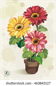 Elegance retro vector illustration with spring flowers Gerbera in brown pot on light background, eps8