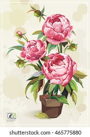Elegance retro vector illustration with spring watercolor flower peony in brown pot on light background, eps8