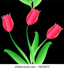 Elegance Seamless color tulips pattern on  background, vector illustration