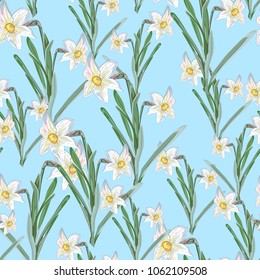 Elegance Seamless pattern with flowers narcissus on spring blue background, vector botanical illustration.