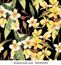 Elegance seamless pattern in vintage style with Plumeria flowers. EPS 10