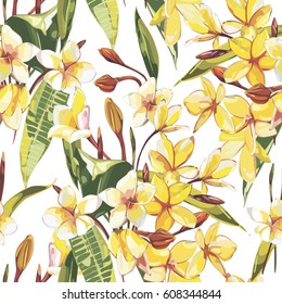 Elegance seamless pattern in vintage style with Plumeria flowers. EPS 10