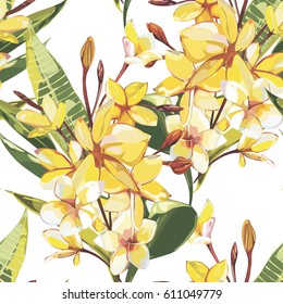 Elegance seamless pattern in vintage style with Plumeria flowers. EPS 10