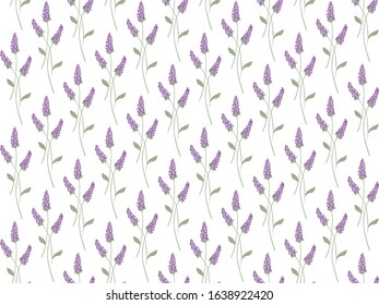Elegance simple seamless pattern with bouquet of lavender flowers. Purple and viola colours. For wallpaper, textile, fabric, interior. France Provence rustic style. Vector repeated print.