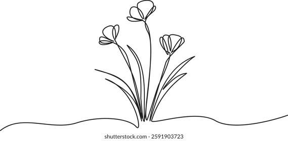 Elegance in a Single Stroke