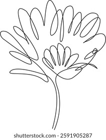 Elegance in a Single Stroke