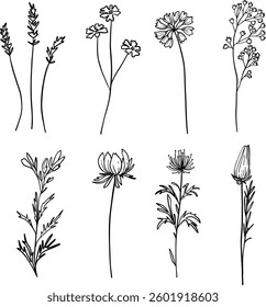 Elegance wildflowers set, minimalistic line art herb, branch and blossoms, hand drawn, wedding flowers, isolated floral elements