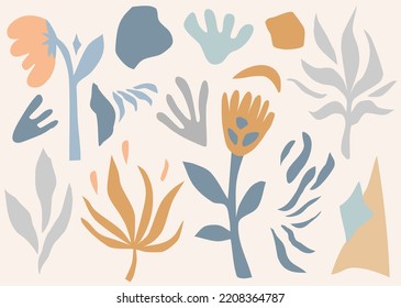 Elegant abstract collection of plants and flowers in flat style.   Vector illustration for flower compositions.