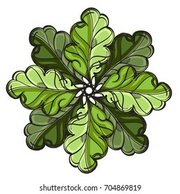 Elegant abstract element of stylized oak leaves. Vector illustration isolated on white background.