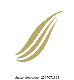 Elegant Abstract Golden wave vector 