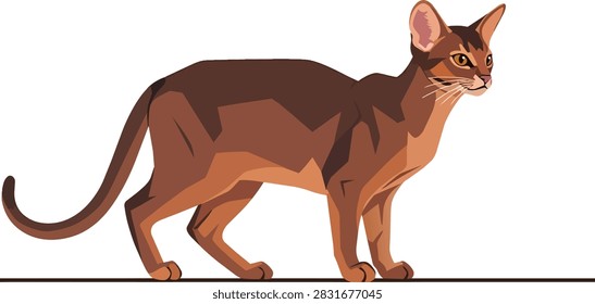 Elegant Abyssinian Cat Vector Illustration Isolated on White