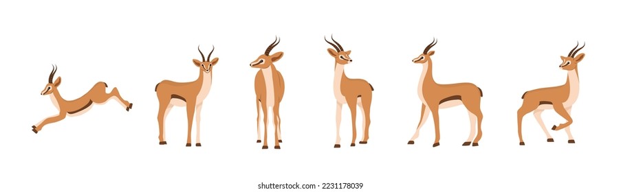 Elegant african antelope. Set of gazelles with horns on white background. Mammal animal. Vector illustration in flat cartoon style.