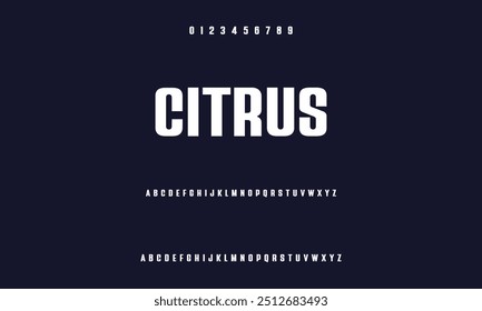 Elegant alphabet lettering template. Classic Lettering Minimal Fashion Designs. Typography modern sans serif fonts and numbers. vector illustration