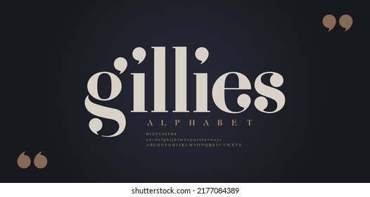 Elegant alphabet letters font. Classic Modern Serif Lettering Minimal Fashion Designs. Typography  decoration fonts for branding, wedding, invitations, logos. vector illustration