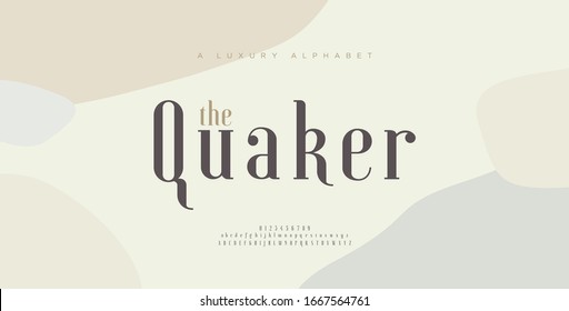 Elegant alphabet letters font and number. Classic Lettering Minimal Fashion Designs. Typography fonts uppercase and lowercase. vector illustration