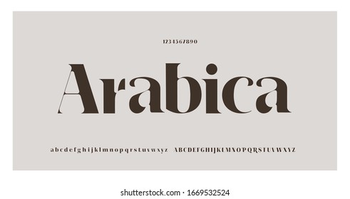 Elegant alphabet letters font and number. Classic Lettering Minimal Fashion Designs. Typography fonts regular uppercase and lowercase. vector illustration_arabica