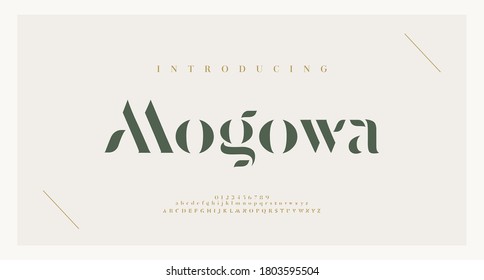 Elegant Alphabet Letters Font And Number. Classic Lettering Minimal Fashion Designs. Typography Modern Serif Fonts And Numbers. Vector Illustration