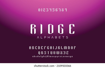 Elegant alphabet letters font and number. Classic Lettering Minimal Fashion Designs. Typography modern serif fonts regular uppercase lowercase and numbers. vector illustration