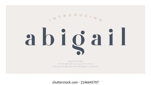 Elegant alphabet letters font and number. Classic Lettering Minimal Fashion Designs. Typography modern serif fonts decorative vintage concept. vector illustration