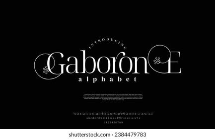 Elegant alphabet letters font and number. Classic Lettering Minimal Fashion Designs. Typography modern serif fonts and numbers. vector illustration