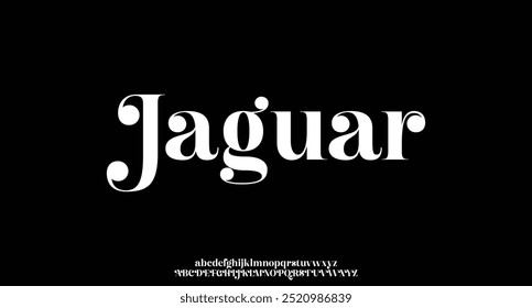 elegant alphabet letters font and number. Classic Lettering Minimal Fashion Designs. Typography modern serif fonts decorative vintage design concept. vector illustration