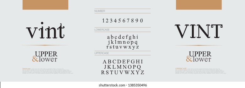 Elegant alphabet letters fonts set. Exclusive letters corporate identity. Typography classic font and numbers. vector illustration