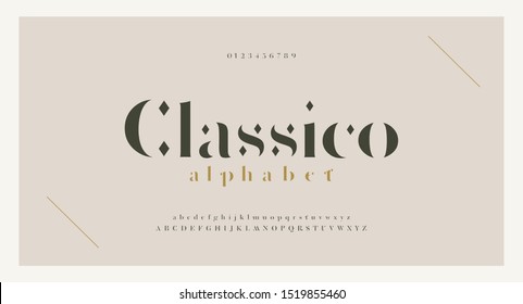 Elegant alphabet letters serif font and number. Classic Lettering Minimal Fashion. Typography fonts regular uppercase, lowercase and numbers. vector illustration