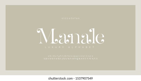 Elegant alphabet letters serif font and number. Classic Lettering Minimal Fashion. Typography Luxury fonts uppercase, lowercase and numbers. vector illustration