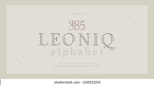 Elegant alphabet letters serif font and number. Classic Lettering Thin Line Minimal Fashion. Typography thin line fonts uppercase, lowercase and numbers. vector illustration