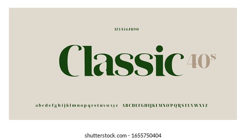 Elegant alphabet letters serif font and number. Classic Lettering Minimal Fashion. Typography fonts regular uppercase, lowercase and numbers. vector illustration