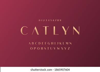 Elegant alphabet letters serif font and number. Luxury Classic Lettering Minimal Fashion. Typography fonts regular uppercase and numbers. vector illustration