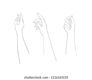 Elegant arm of a woman set. Salon procedure of manicure. Ilustration for cosmetic for hands - cream or lotion.