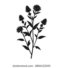 Elegant Aster flower silhouette collection in black with blooming botanical floral vector illustration