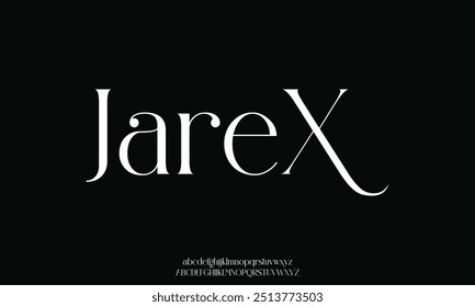 Elegant awesome alphabet letters font and number. unique serif font. Classic Lettering Minimal Fashion Designs. Typography fonts regular uppercase and lowercase. vector illustration