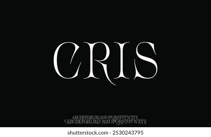 Elegant awesome alphabet letters font and number. unique serif font. Classic Lettering Minimal Fashion Designs. Typography fonts regular uppercase and lowercase. vector illustration