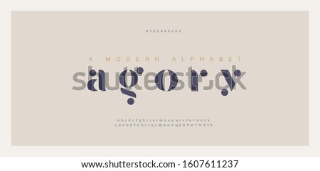 Elegant awesome alphabet letters font and number. Classic Lettering Minimal Fashion Designs. Typography fonts regular uppercase and lowercase. vector illustration