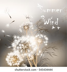 Elegant background with dandelions. Summer wind