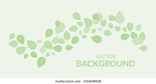 Elegant background with leaves. Vector.