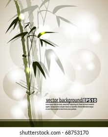 elegant bamboo background concept