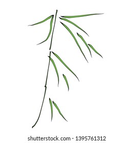 Elegant bamboo branch. Vector illustration.